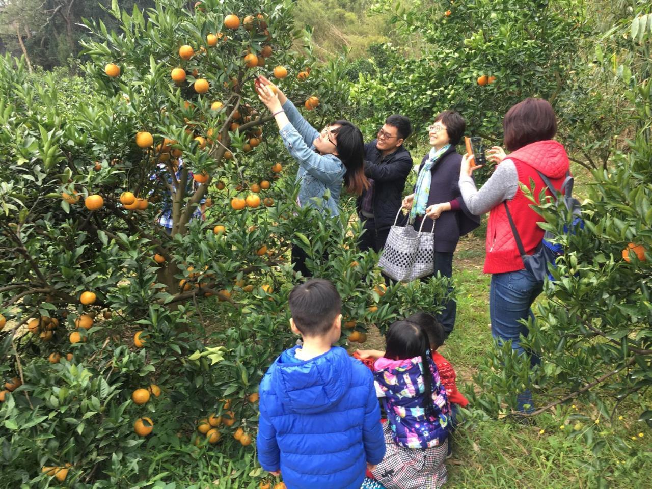 Fanny Manor B&B Emei Luaran gambar