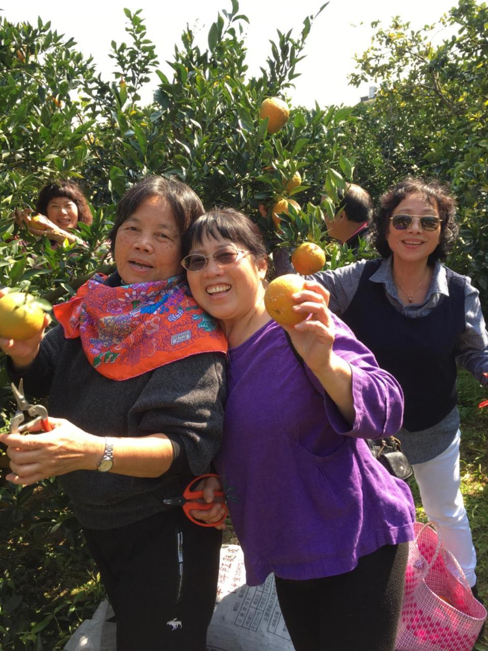 Fanny Manor B&B Emei Luaran gambar